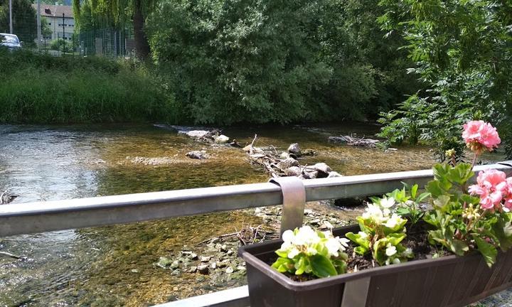 Biergarten Unter Den Linden